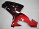 2006-2007 Kawasaki ZX10R Motorcycle Fairing - Glossy Black Red Flame
