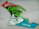 2009-2012 Kawasaki ZX6R Motorcycle Fairings - Green White Red Black Blue Motocard