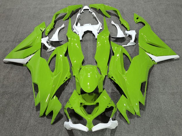 2019-2022 Kawasaki ZX6R Motorcycle Fairings - White Green