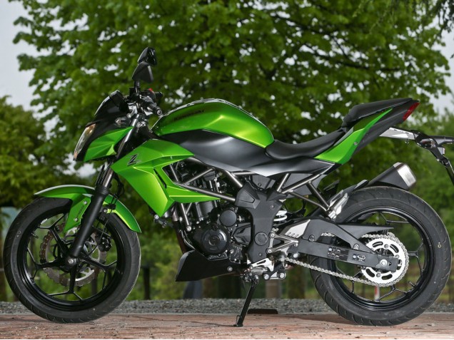 2015-2016 Kawasaki Z250/Z300 Motorcycle Fairings - Green Matte Black