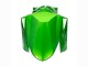 2022-2025 Kawasaki Versys 650 Motorcycle Fairings - Green Glossy Black