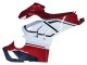 2020-2021 Ducati Panigale V4 V4S Motorcycle Fairings - White Red Green Matte Black