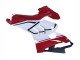2020-2021 Ducati Panigale V4 V4S Motorcycle Fairings - White Red Green Matte Black