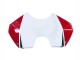 2018-2019 Ducati Panigale V4 V4S Motorcycle Fairings - White Red Green Glossy Black