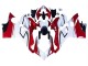 2018-2019 Ducati Panigale V4 V4S Motorcycle Fairings - White Red Green Glossy Black