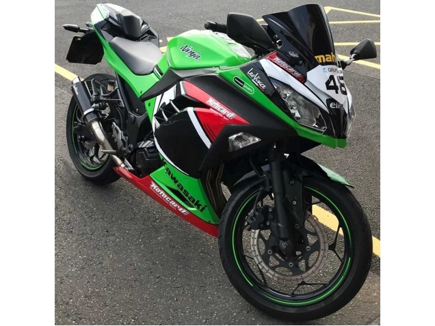 2013-2024 Kawasaki EX300 Motorcycle Fairings - Green White Red Black Elf