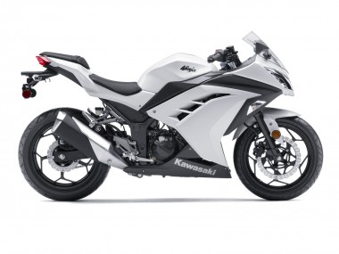 2013-2024 Kawasaki EX300 Motorcycle Fairings - White Black