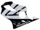 2004-2007 Honda CBR600 F4i Motorcycle Fairings - White Glossy Black