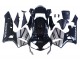 2003-2004 Honda CBR600RR Motorcycle Fairings - Silver Glossy Black