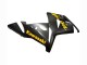 2004-2005 Kawasaki ZX10R Motorcycle Fairings - Black Ninja
