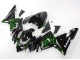 2004-2005 Kawasaki ZX10R Motorcycle Fairings - Black with Green Flame Ninja