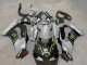 2021-2026 Kawasaki ZX10R Motorcycle Fairings - Grey Matte Black Green White Elf Snow Monster