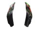 2021-2026 Kawasaki ZX10R Motorcycle Fairings - Green Black Red