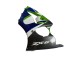 1998-1999 Kawasaki ZX6R Motorcycle Fairings - Green White Blue Silver Glossy Black