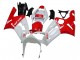 2003-2004 Kawasaki ZX6R Motorcycle Fairings - White Red