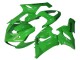 2005-2006 Kawasaki ZX6R Motorcycle Fairings - Green
