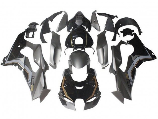 2021-2026 Kawasaki ZX10R Motorcycle Fairings - Grey Glossy Black Gold