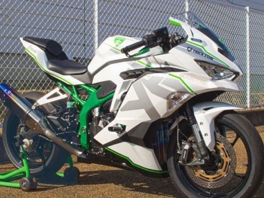 2019-2025 Kawasaki ZX25R ZX-25R Motorcycle Fairings - White Silver Green